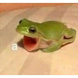 隔壁班的羊驼的头像
