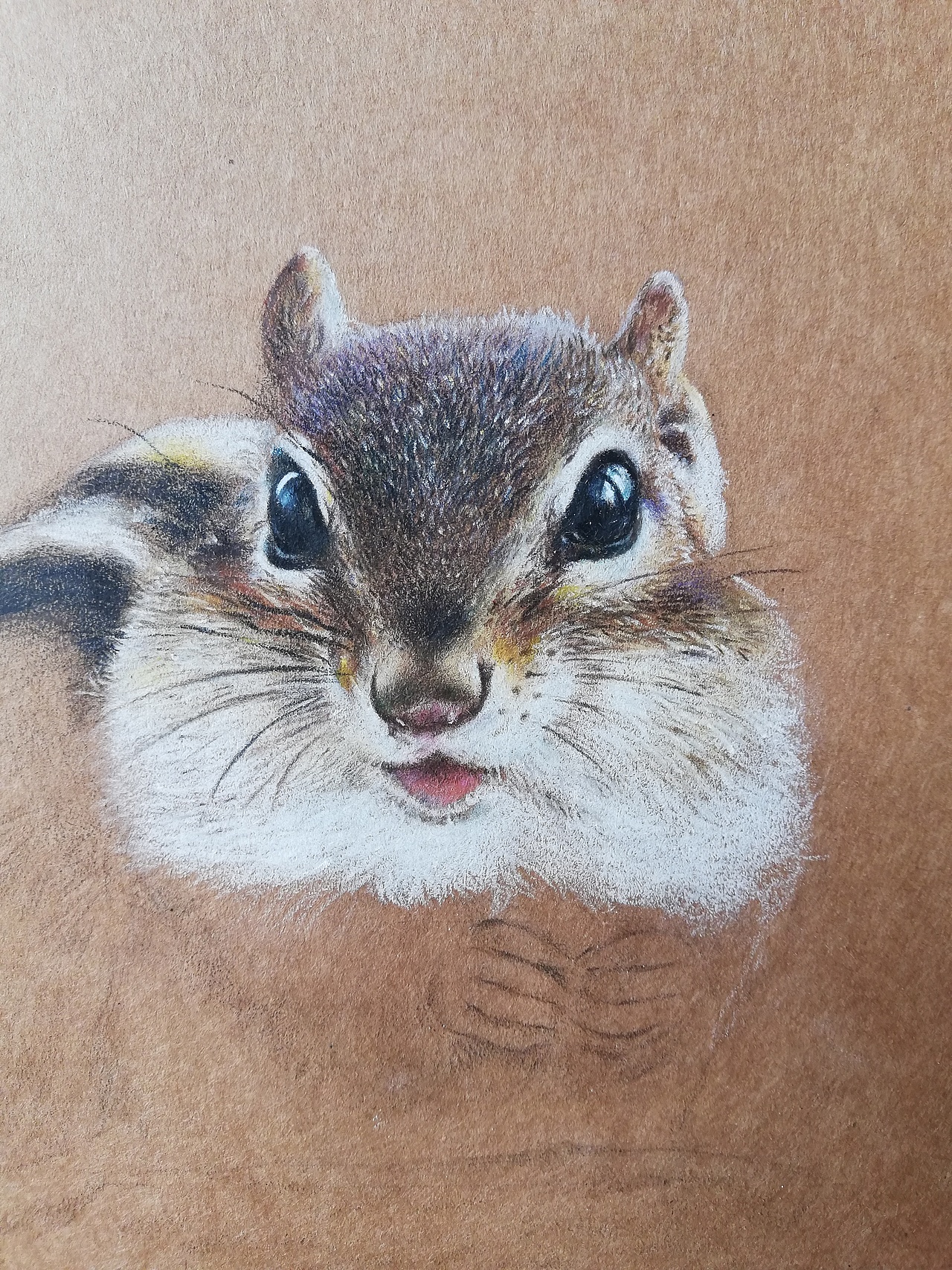 彩铅牛皮纸手绘 花栗鼠