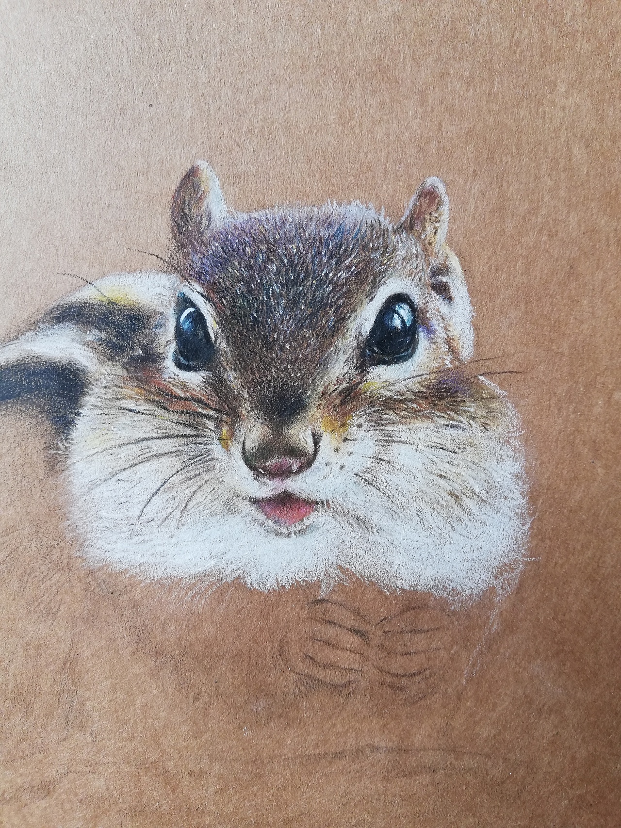 彩铅牛皮纸手绘 花栗鼠