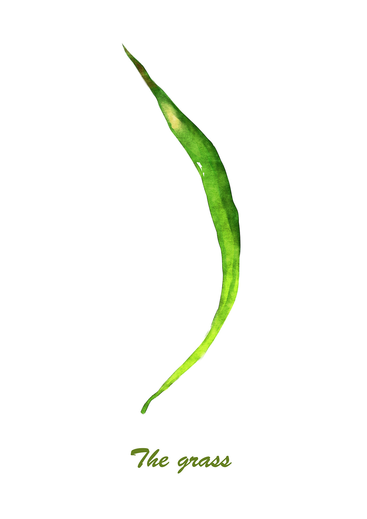 植物图鉴BOTANY（图ZMzc4MzEyNDA=） - 商业插画 - 站酷设计师奴十八原创素材 - 站酷ZCOOL