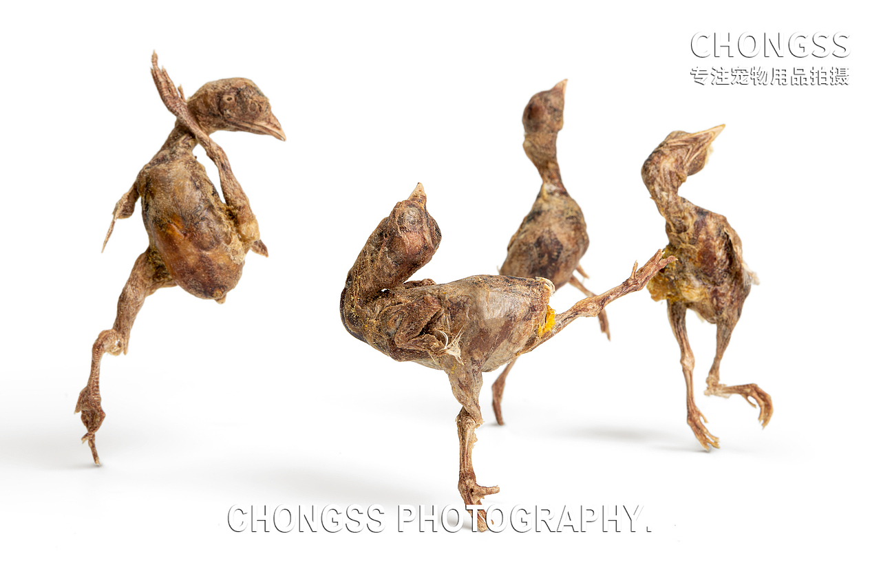 派福宠物零食-不派福就捣蛋