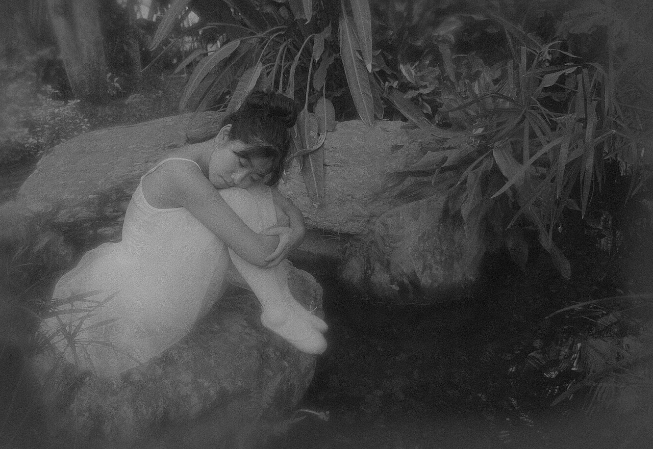 像一只天鹅，白的那么纯洁，弯着长长的颈，低头看着水面我已蜕变的样子