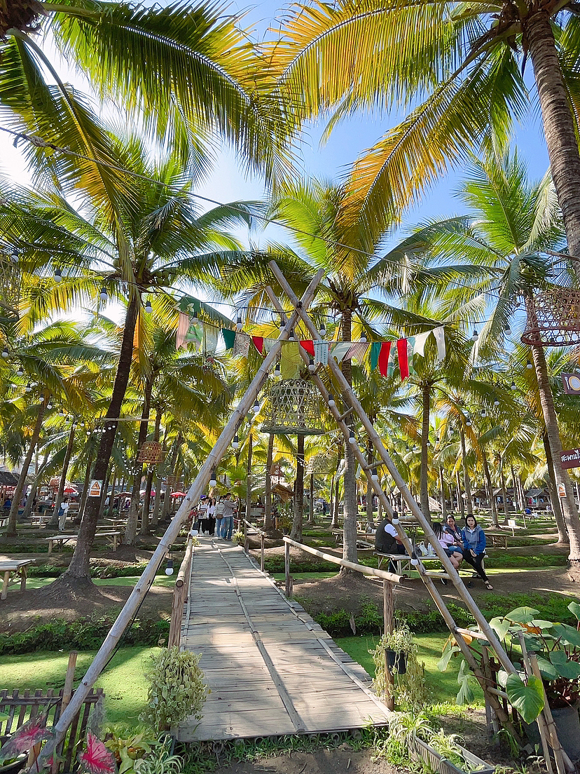 泰国🇹🇭清迈の椰林集市🌴太美了吧