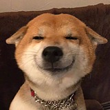 Otherwiser的头像