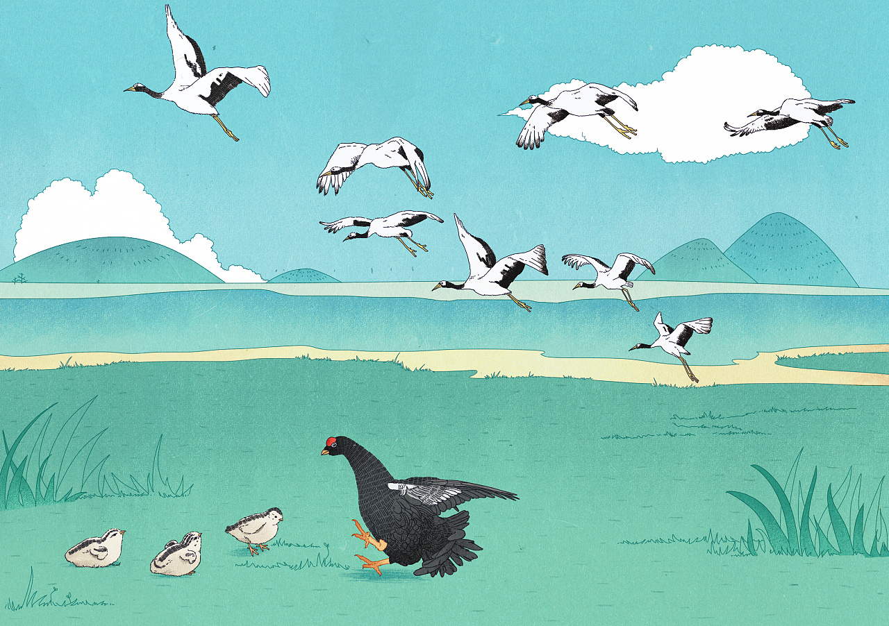 图书内插森林报