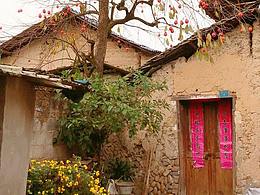 鯉魚(yú)頭弄7號(hào)