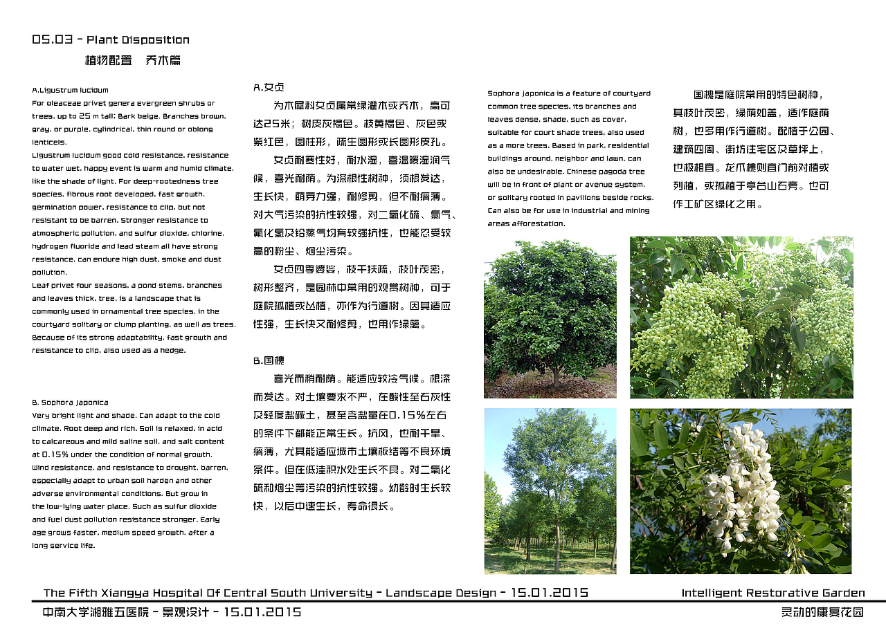 【城市景观规划设计】湘雅五医院景观设计