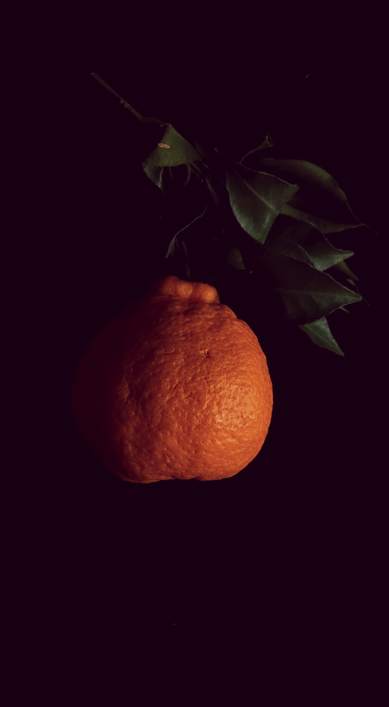 分享标签静物橘子作品信息创作时间2020/04/09添加表情月饼合集