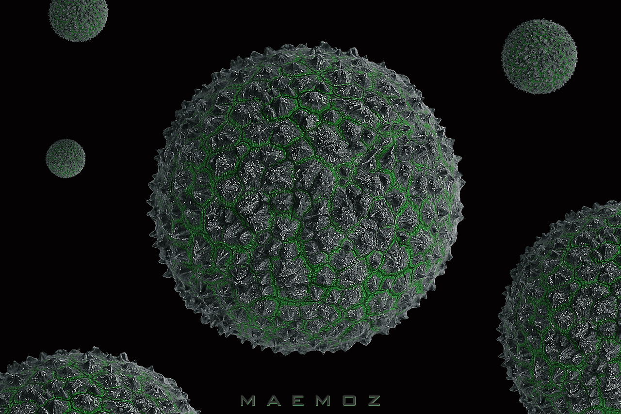 荔枝的三种形态（图ZMTE4MTA2MTMy） - 产品摄影 - 站酷设计师maemoz原创素材 - 站酷ZCOOL