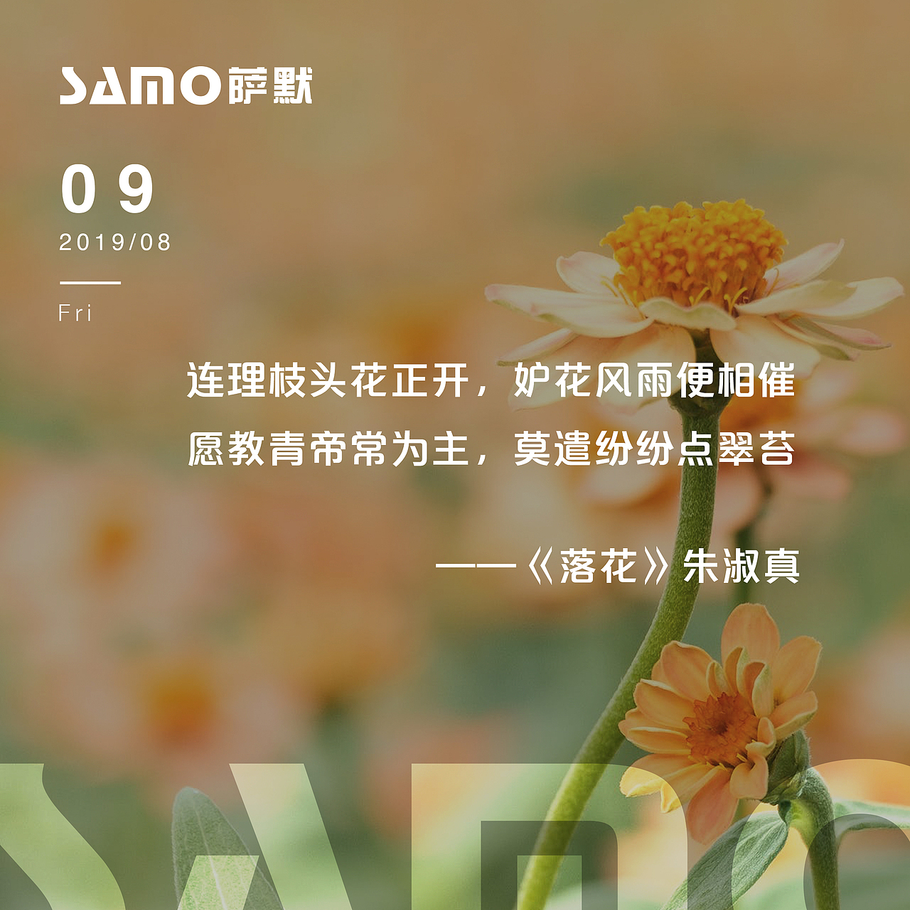 每日一签（图ZMTcyNjc4NjA0） - 海报 - 站酷设计师萌张妃原创素材 - 站酷ZCOOL