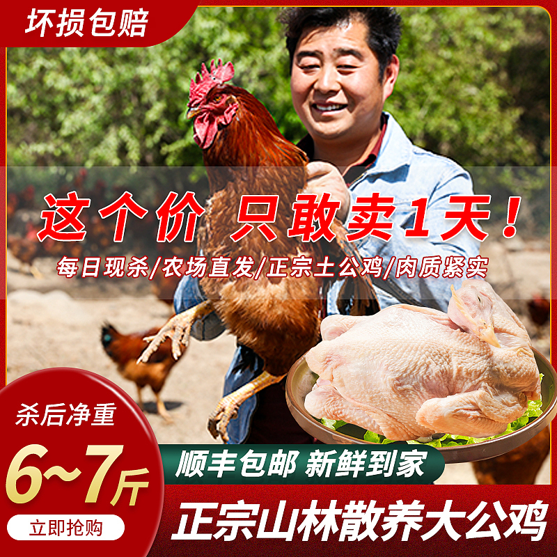 土鸡肉详情页（图ZMjIyOTExMTQ4） - 电商 - 站酷设计师新盛视觉设计原创素材 - 站酷ZCOOL
