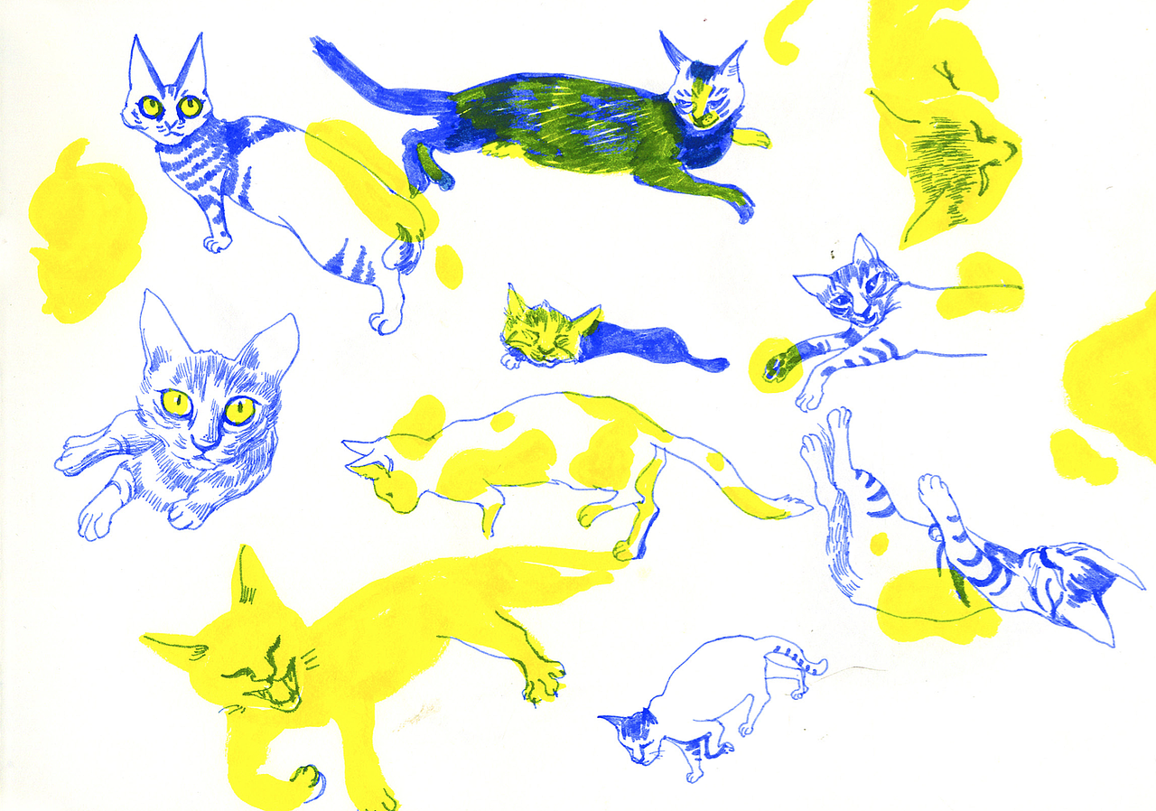 【SKETCH ONE】猫咪速写大集合 1（图ZMTAzMDEyMzI0） - 创作习作 - 站酷设计师多眠Domin原创素材 - 站酷ZCOOL