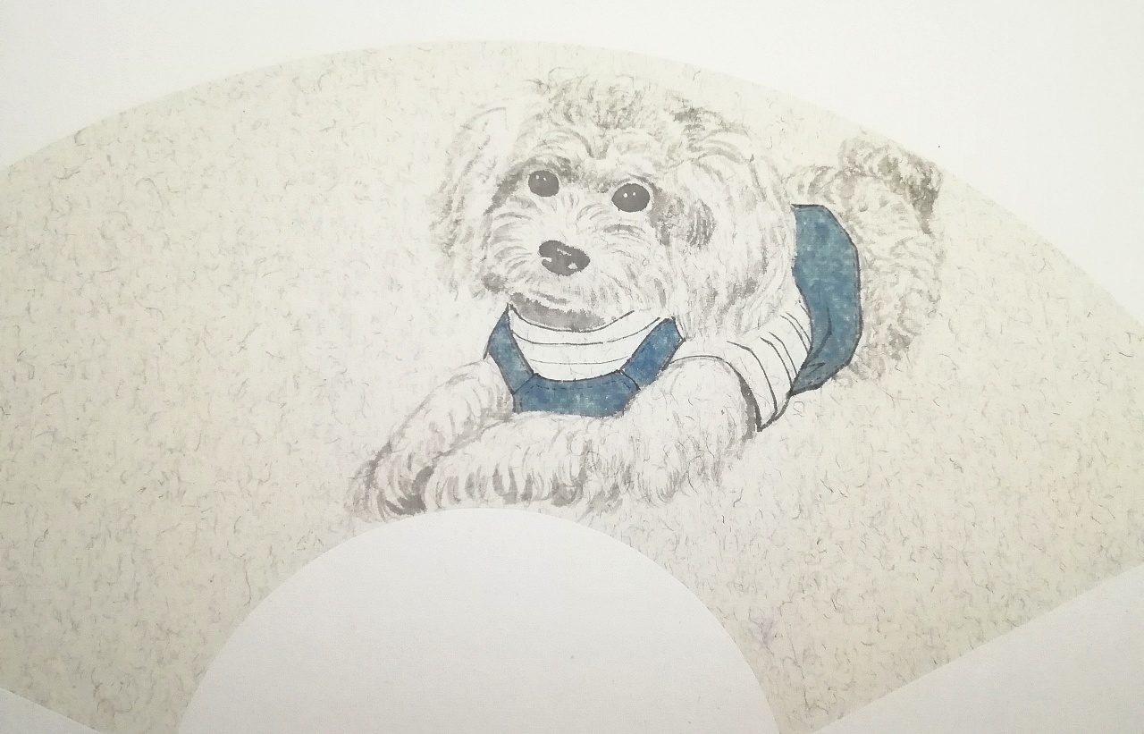 泰迪-布丁|纯艺术|绘画|不秋草堂 - 原创作品 - 站酷 (zcool)