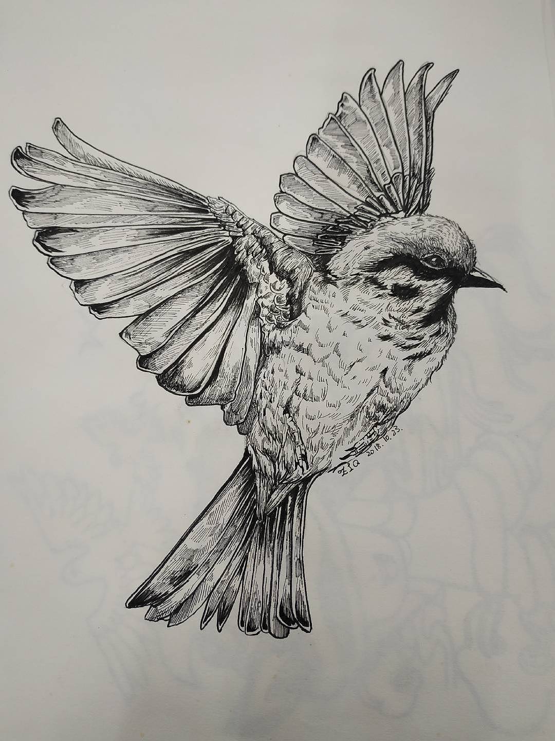 线描手绘（图ZMjc0NjExMDgw） - 创作习作 - 站酷设计师苏梓琪原创素材 - 站酷ZCOOL