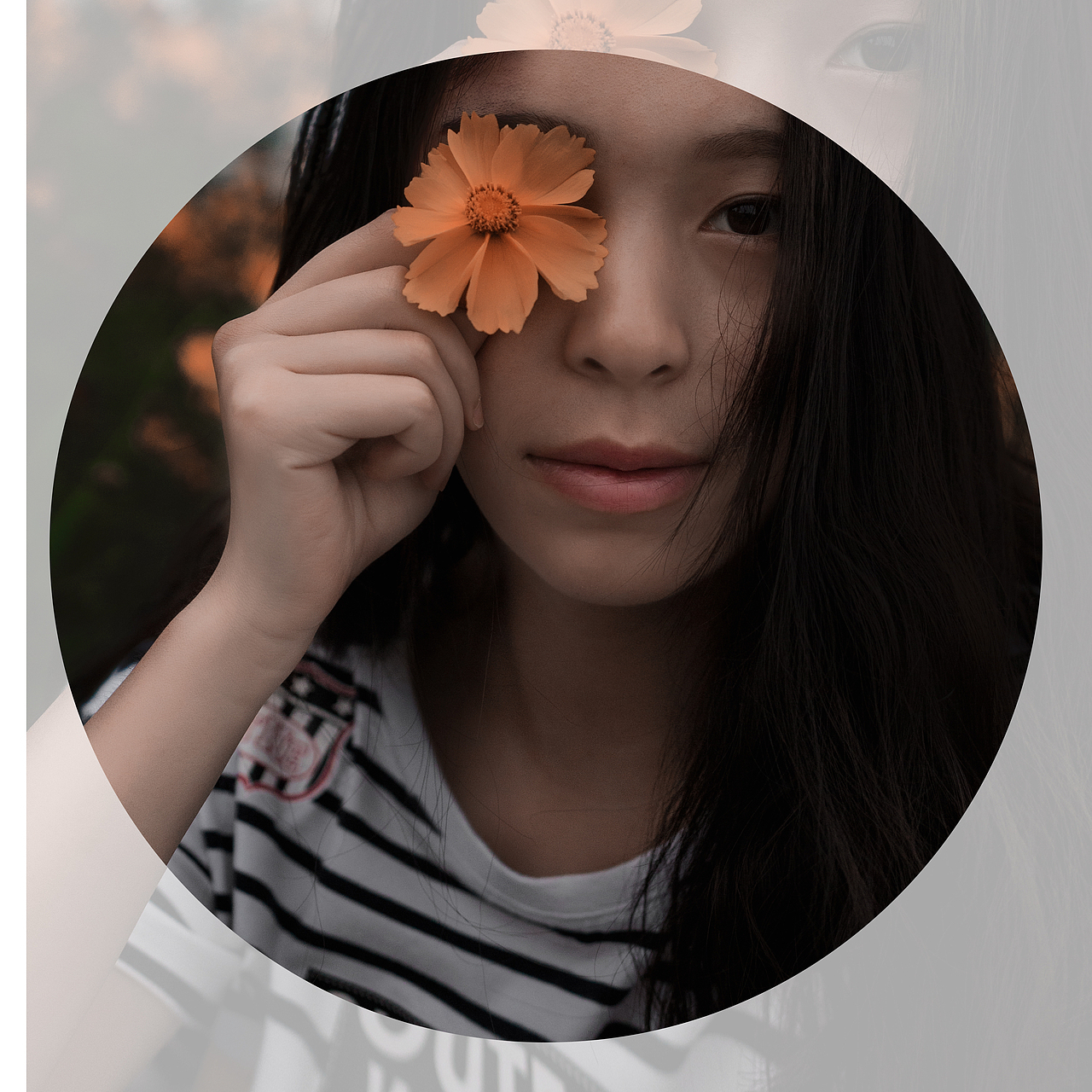 芳华两度,无关风月
