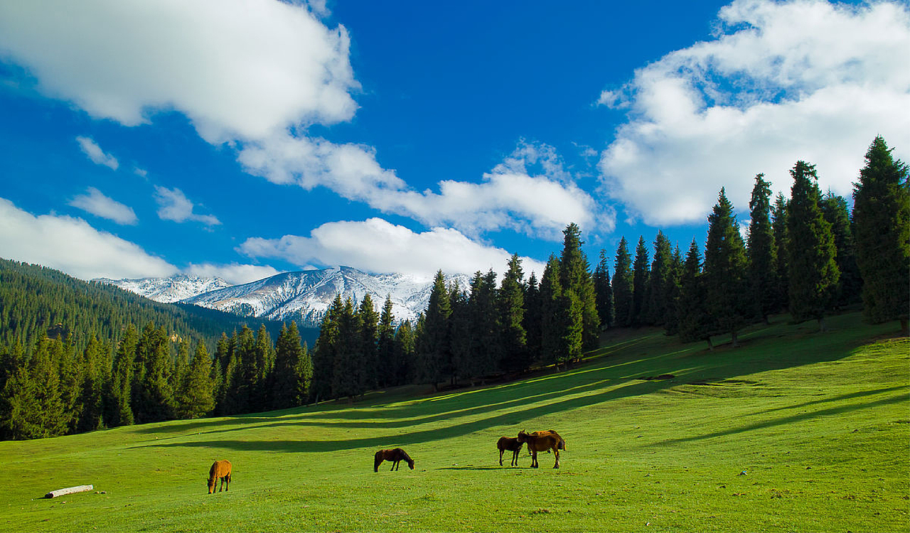 乌鲁木齐县旅游形象标志发布了!!!