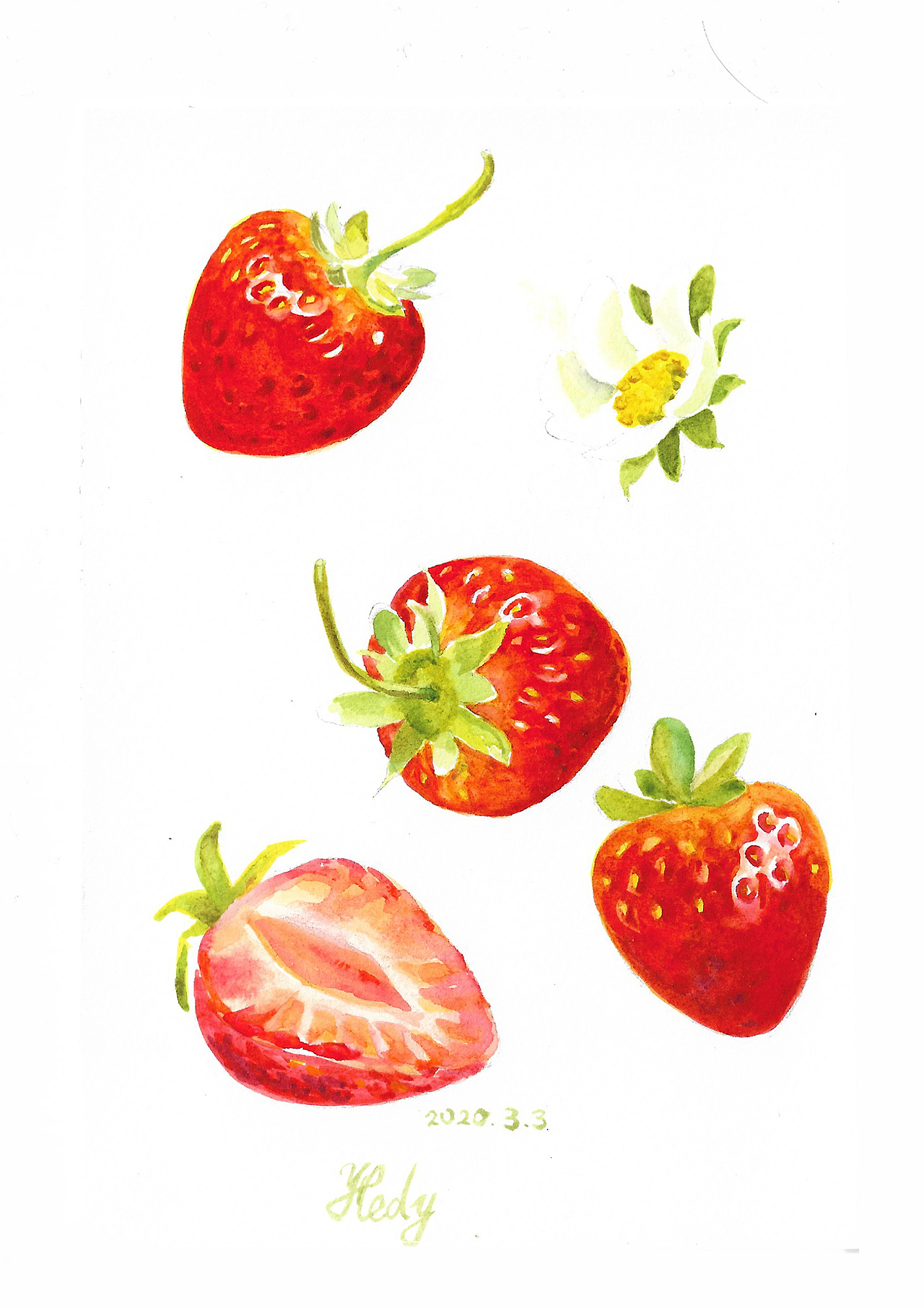 水彩练习-美食篇