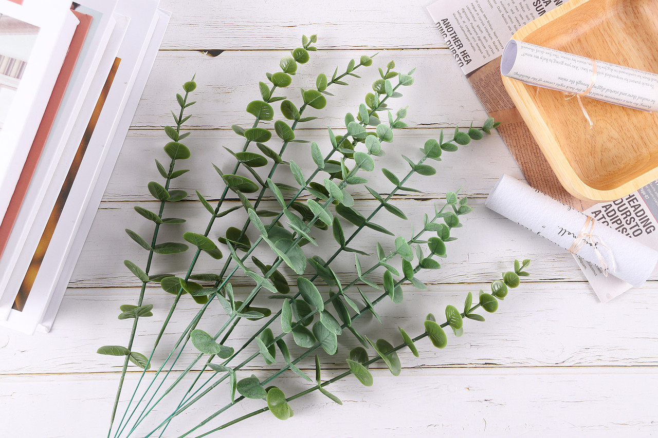 B03家居饰品\C11-仿真饰品\V06仿真尤加利叶X1