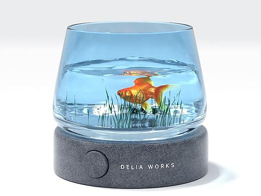 C4D玻璃鱼缸，学习C4D的第14天。每天进步有一点点