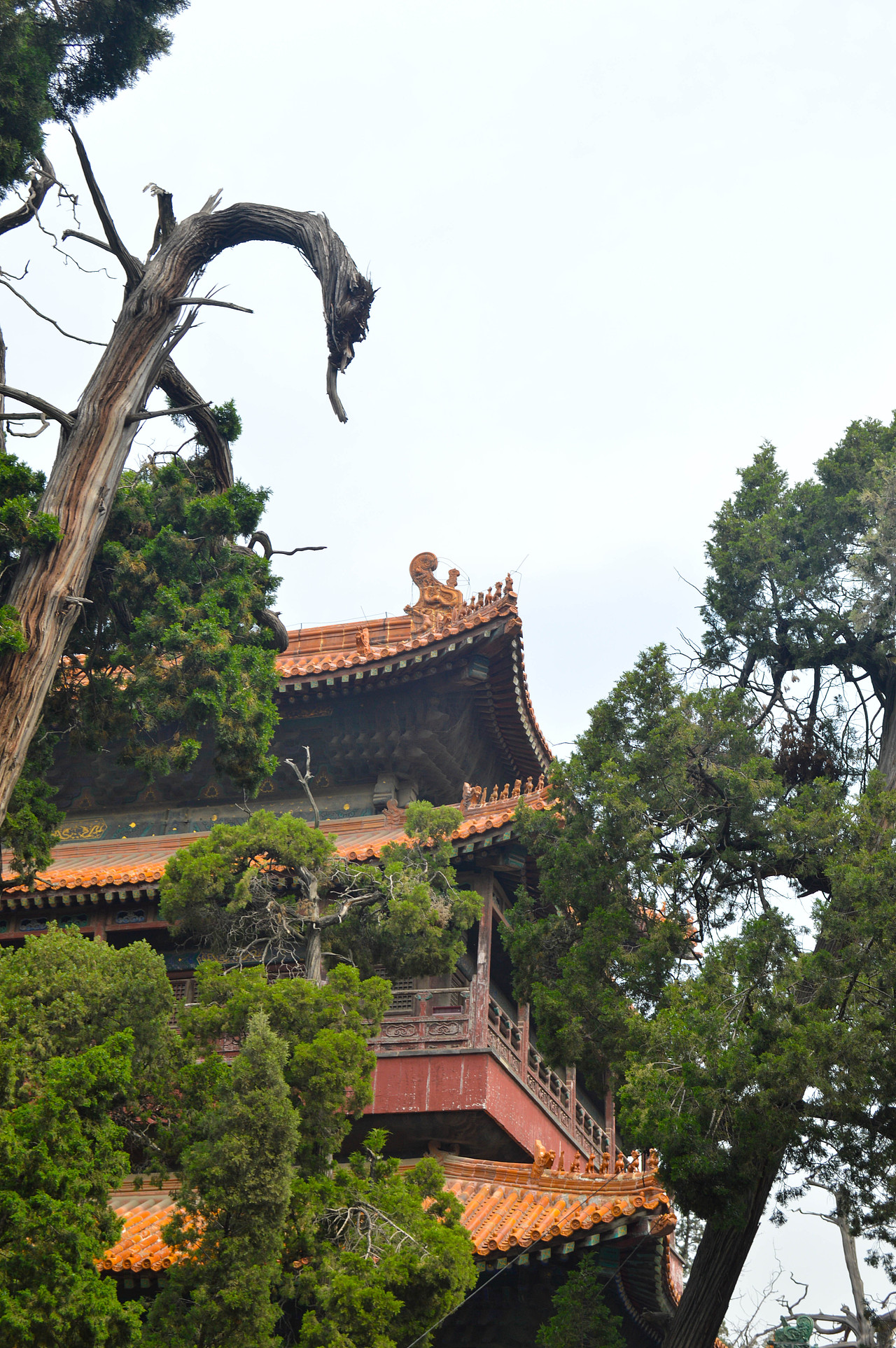泰山 岱庙 孔庙 随拍（图ZMTAyMjY4NDQ0） - 风光摄影 - 站酷设计师叫我小情兽原创素材 - 站酷ZCOOL