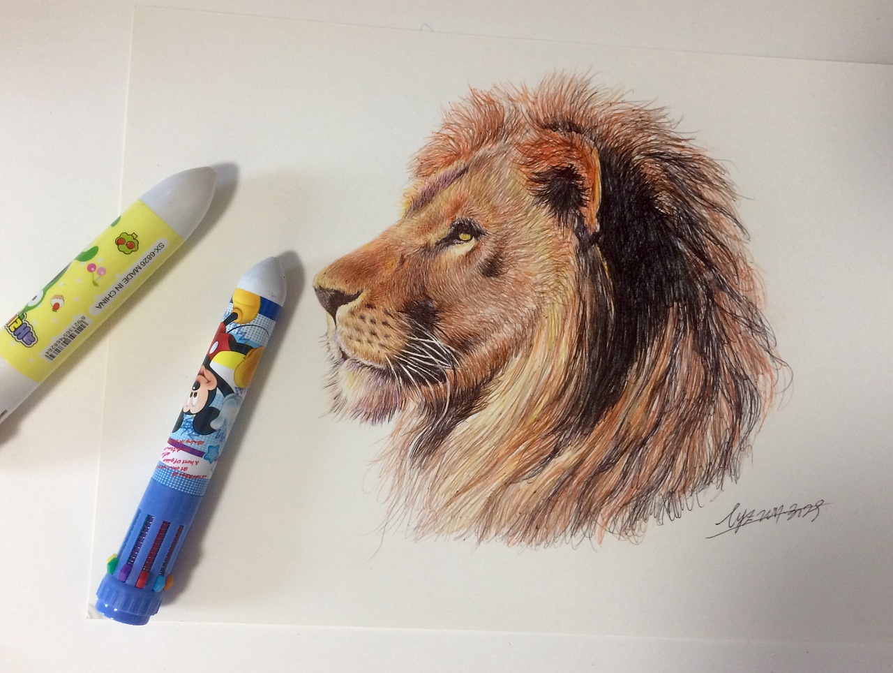 彩色油笔-狮子