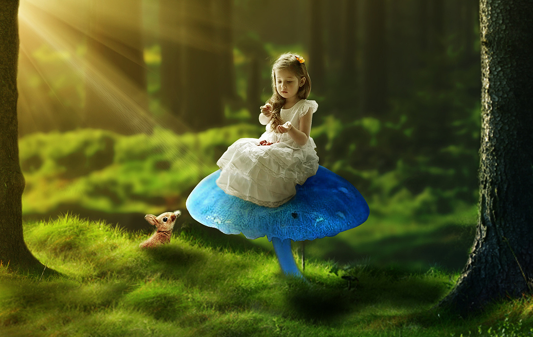 童话风合成采浆果的小姑娘蘑菇森林兔子