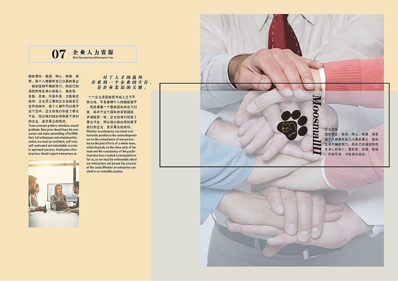 哞小贰宠物猫店