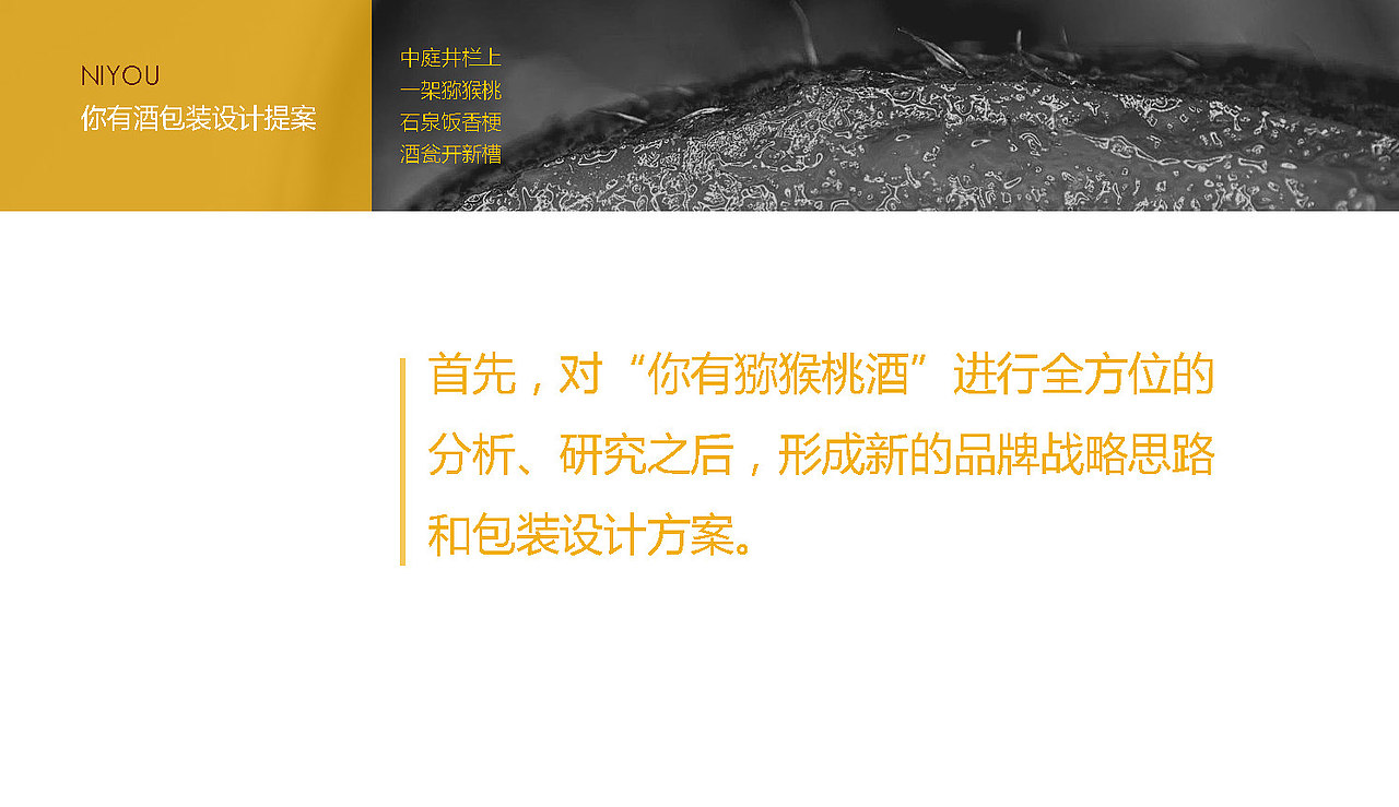 2018|“你有”猕猴桃酒包装设计提案（图ZMjUxNTUyNTMy） - 包装 - 站酷设计师mozoltovDD原创素材 - 站酷ZCOOL
