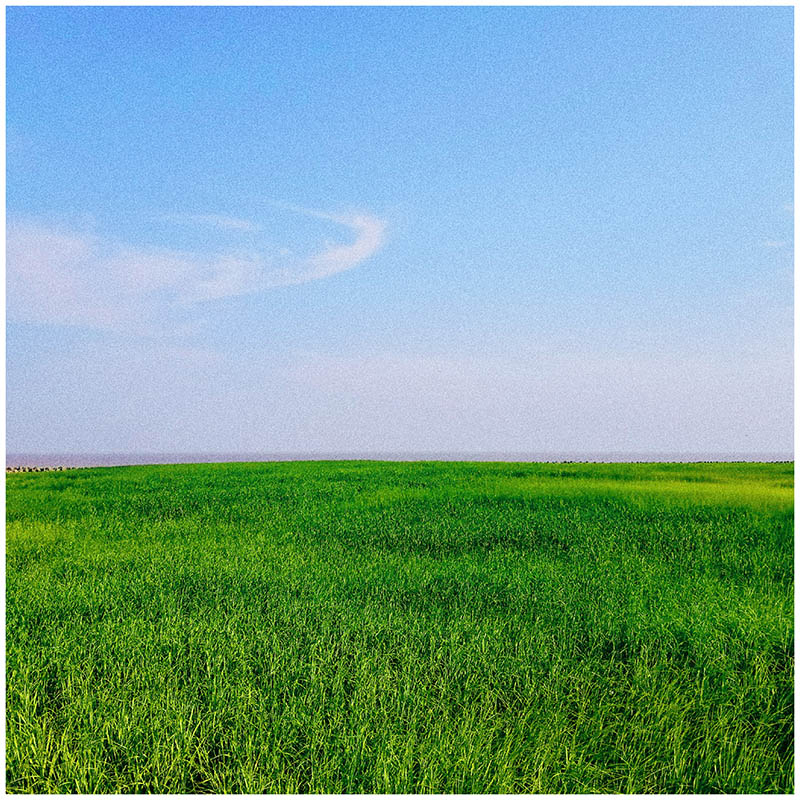 鲨鱼没翅膀的个人主页（背景预览） - 主页背景设置 - 站酷设计师鲨鱼没翅膀原创素材 - 站酷ZCOOL