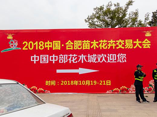 2018花木城花展