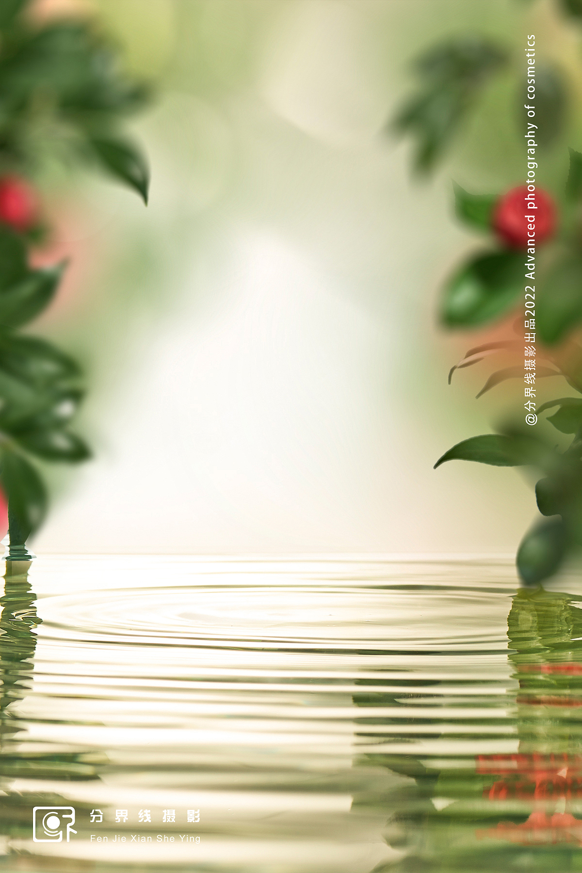 护肤品摄影『嘉利玛山茶花精华油』X FJX VISION（图ZMzAwOTc0MzA4） - 产品摄影 - 站酷设计师分界线视觉原创素材 - 站酷ZCOOL