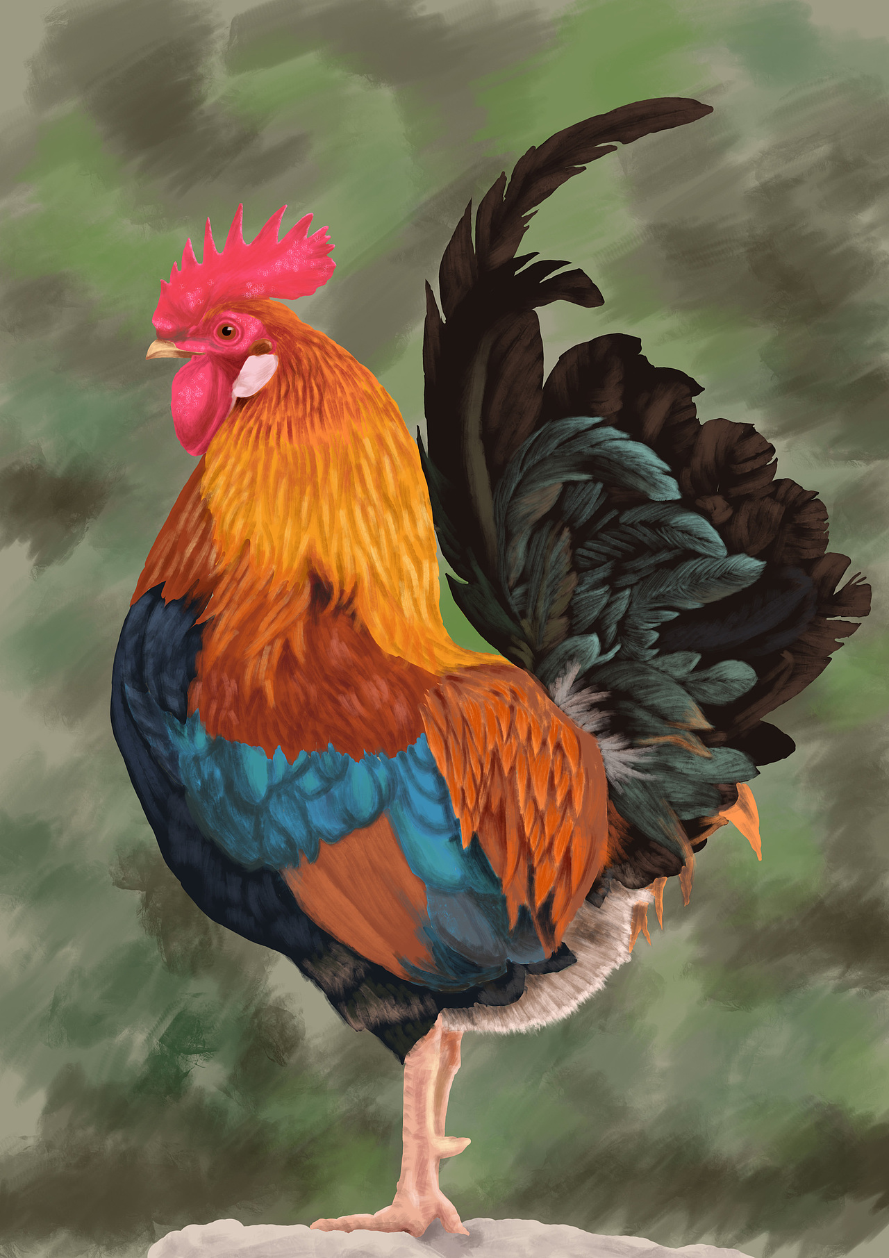 绘画星球打卡挑战-公鸡