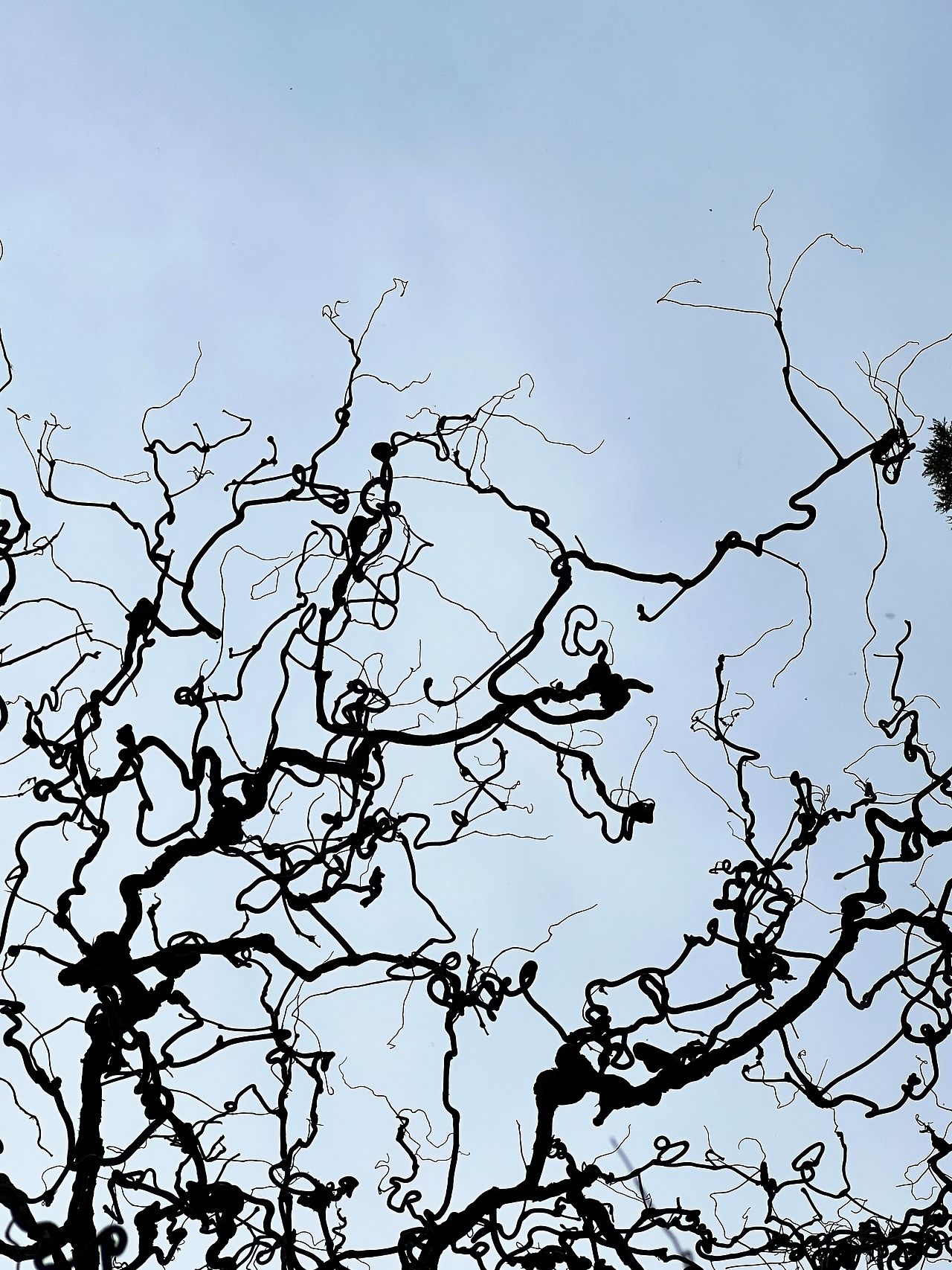 雕塑，隨拍。（圖ZMzUyOTU5ODU2） - 人文/紀實攝影 - 站酷設(shè)計師章魚灰原創(chuàng)素材 - 站酷ZCOOL