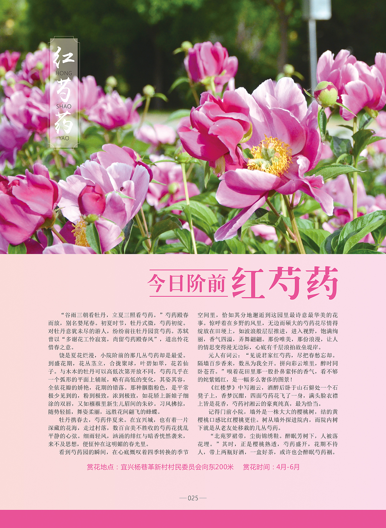 《陶都优品》,茶之美,器之灵——宜兴!