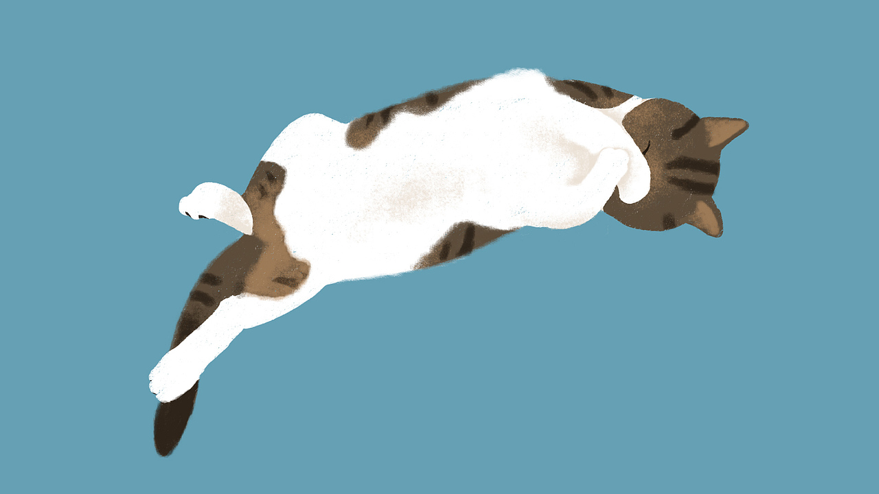 为好友的爱猫造像（图ZMTI2MDc5MDY4） - 创作习作 - 站酷设计师杨册原创素材 - 站酷ZCOOL