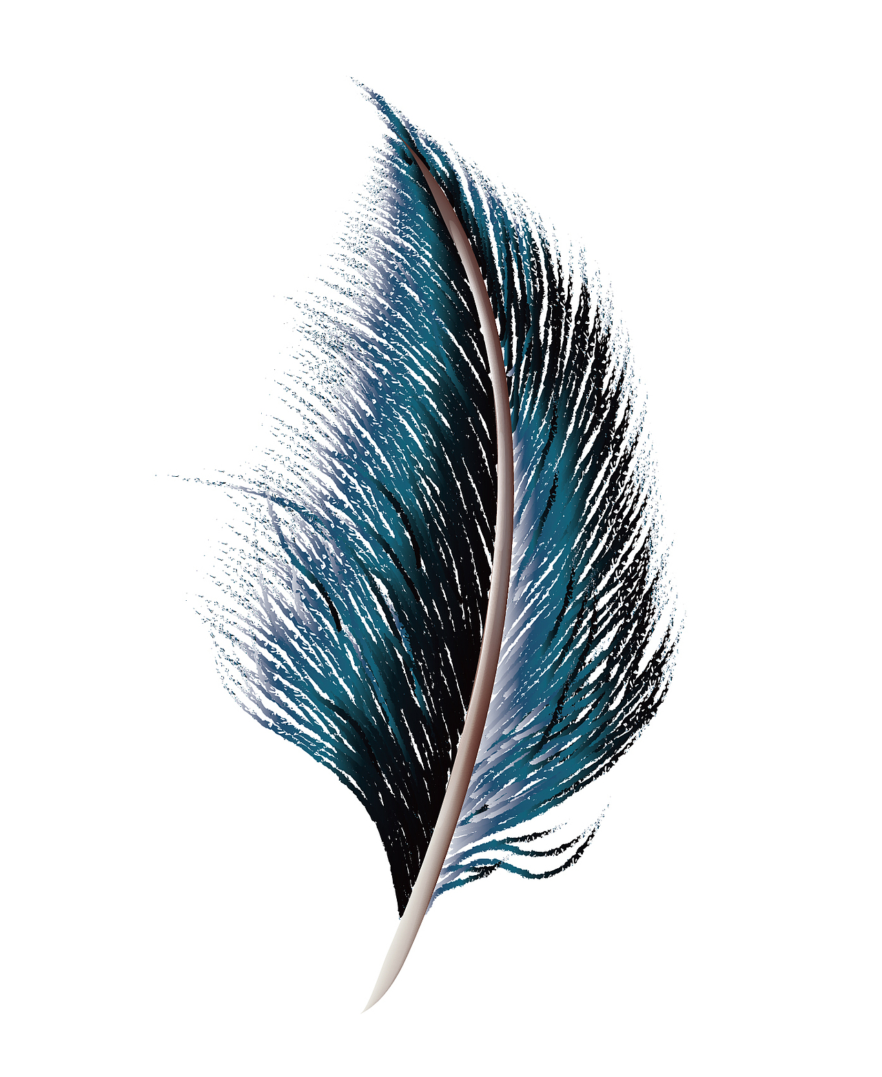 羽毛|平面|图案|微木设计良英_原创作品-站酷zcool