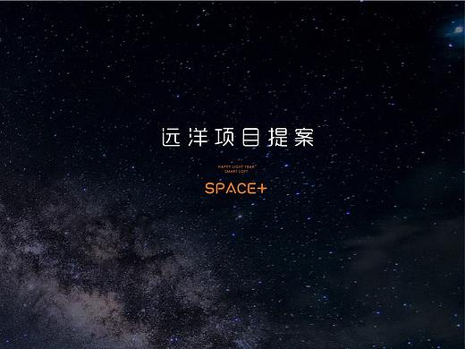 远洋项目提案