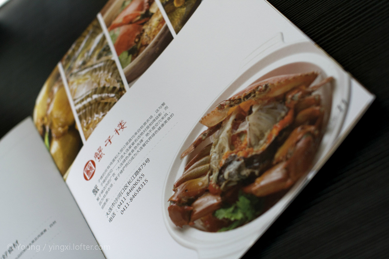 农场标志及后续设计