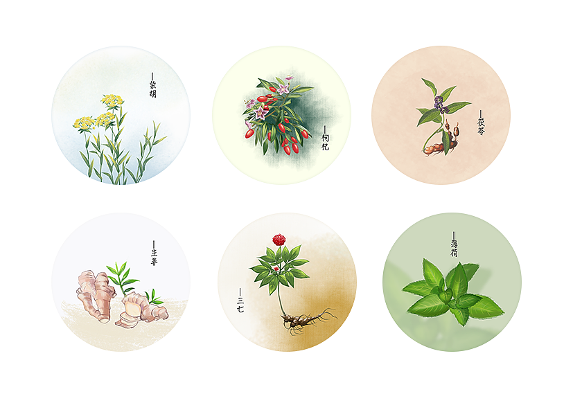 插画习作——中草药（图ZMTA2NzY5MTk2） - 创作习作 - 站酷设计师吃榴莲的洋葱原创素材 - 站酷ZCOOL