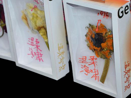 溫柔海嘯（個人主頁-ZNjA1ODg2ODg=） - 其他 - 站酷設計師小菜鵝子原創(chuàng)素材 - 站酷ZCOOL