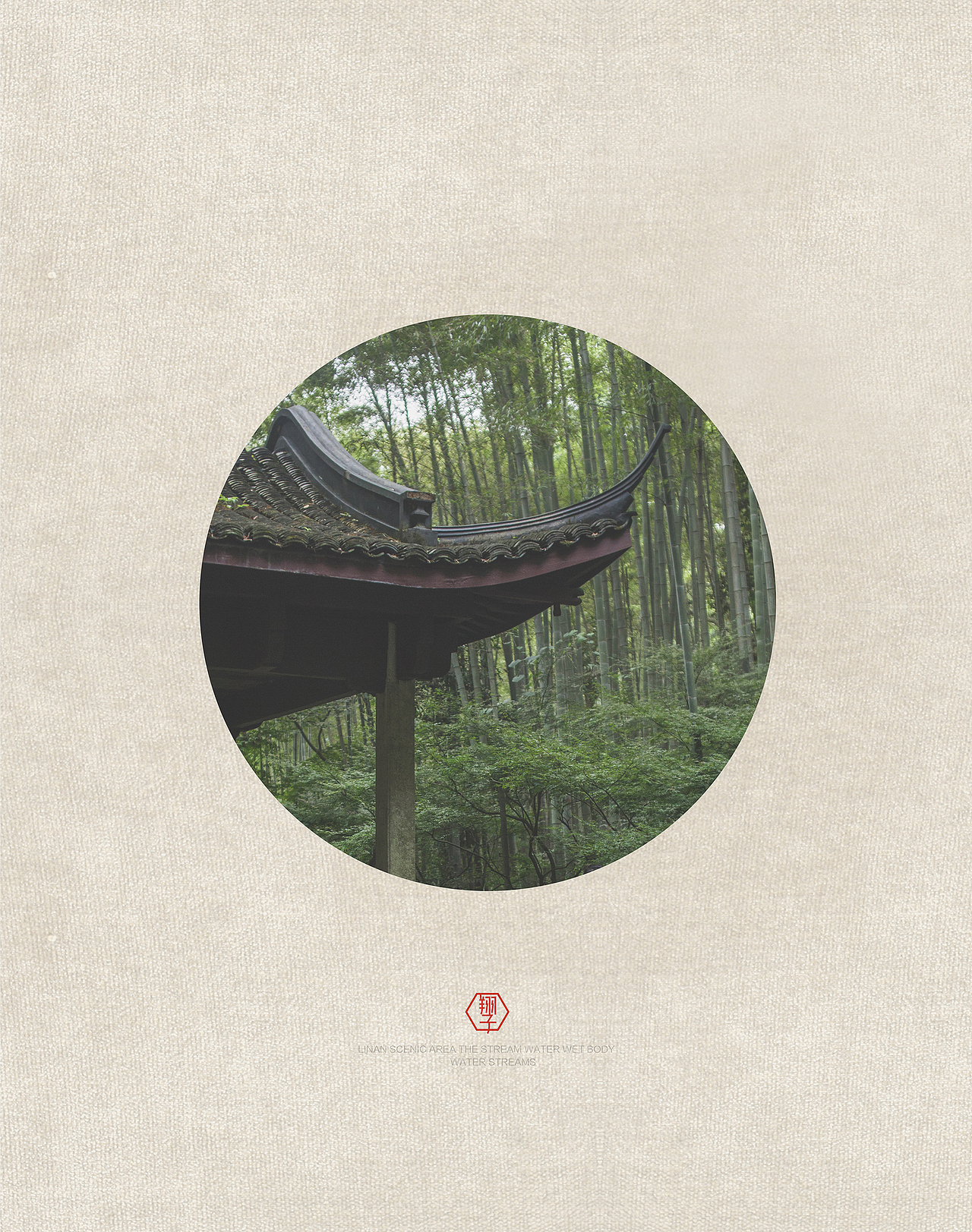 【翔子视觉】竹林行客(古风)