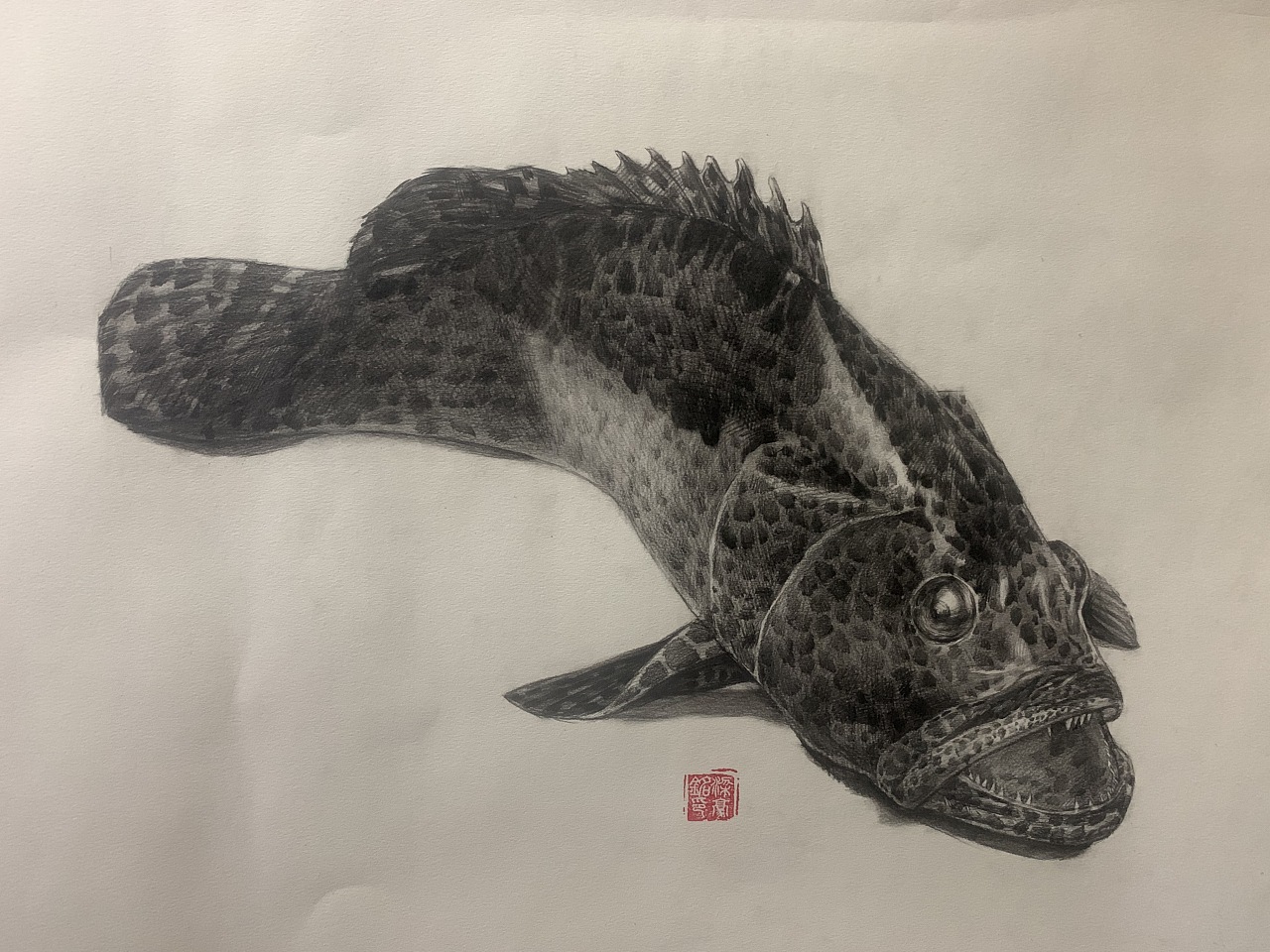 素描石斑步骤图