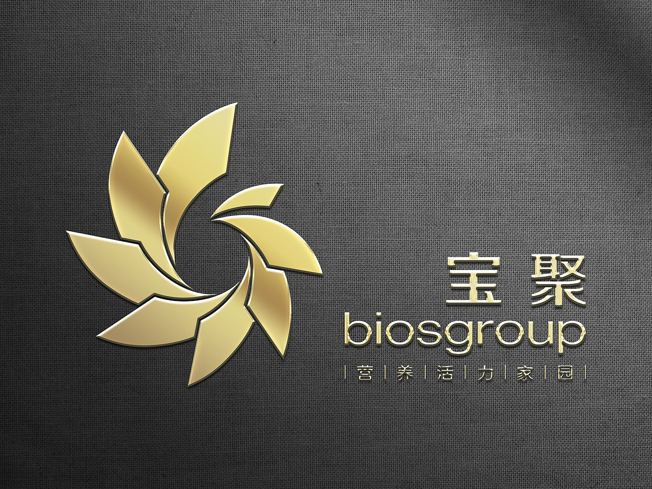 宝聚营养(瘦身）俱乐部Logo设计