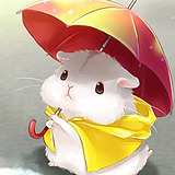 燕子Bella的头像