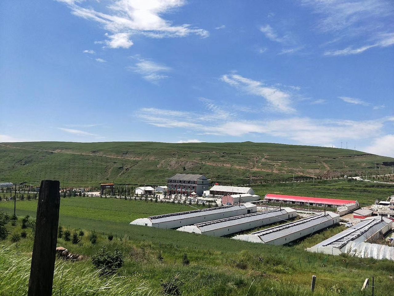 大草原蓝蓝的天