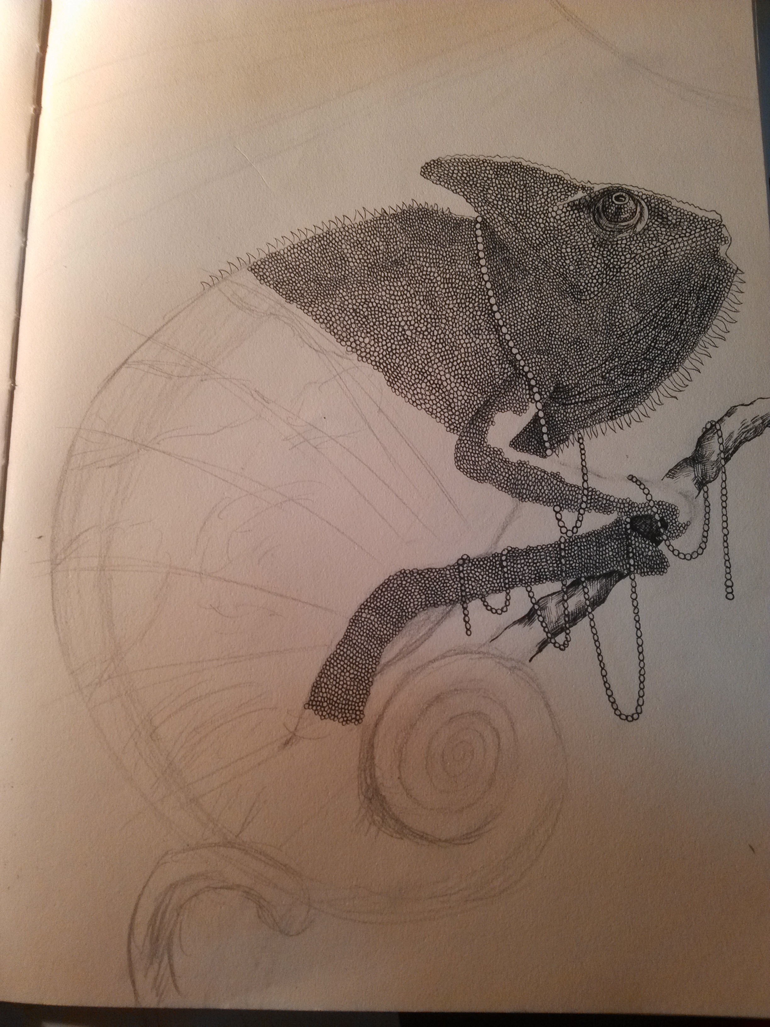 变色龙眼睛快瞎了