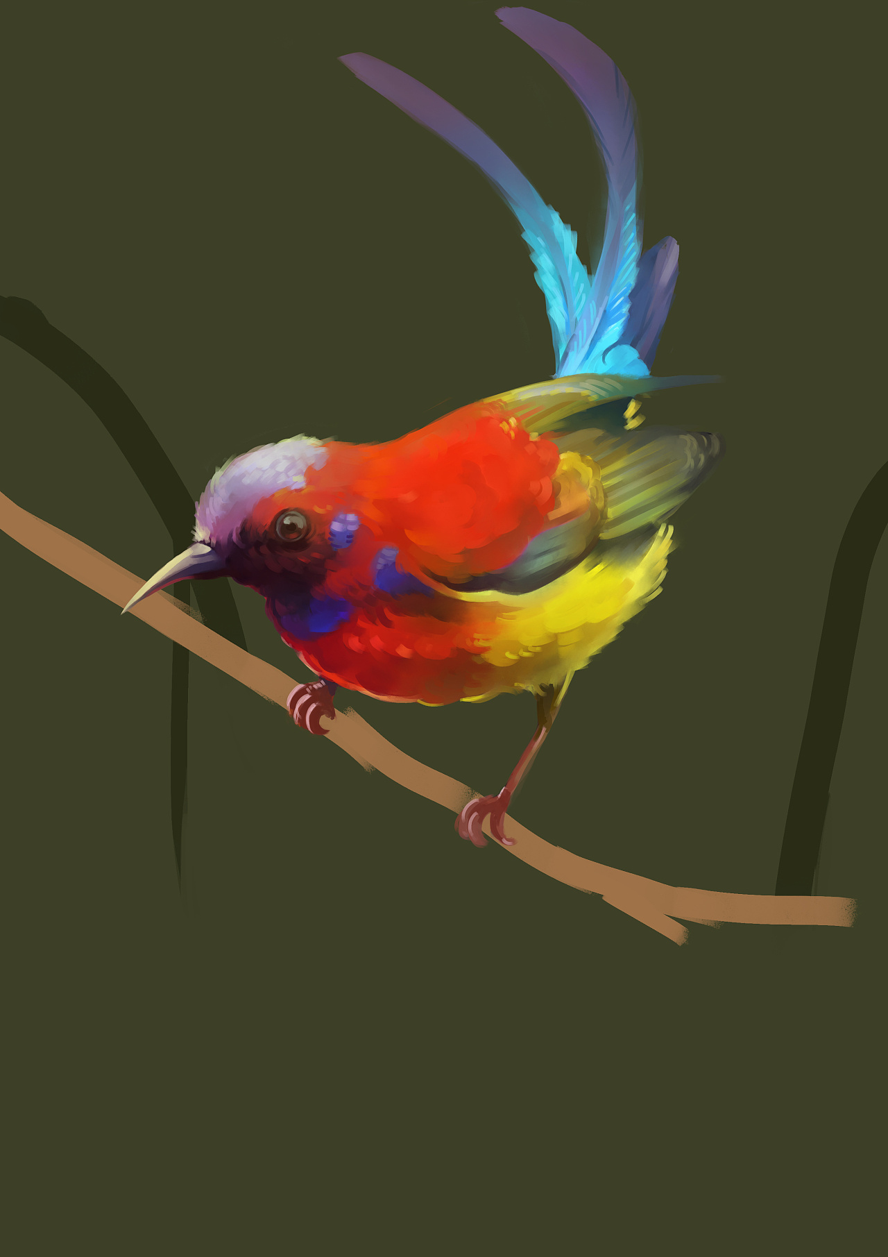 啾啾~肥啾儿?肥球儿~——板绘练习[鸟]9p