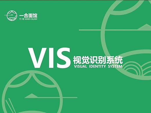 VIS手册