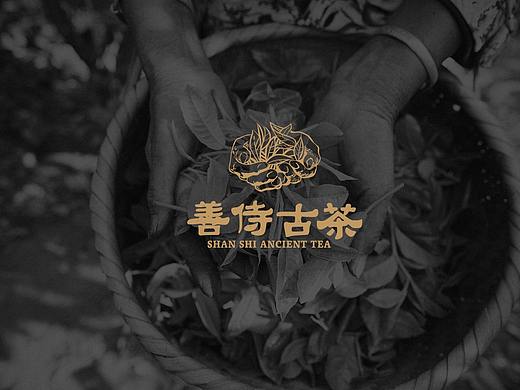 善侍古茶品牌设计