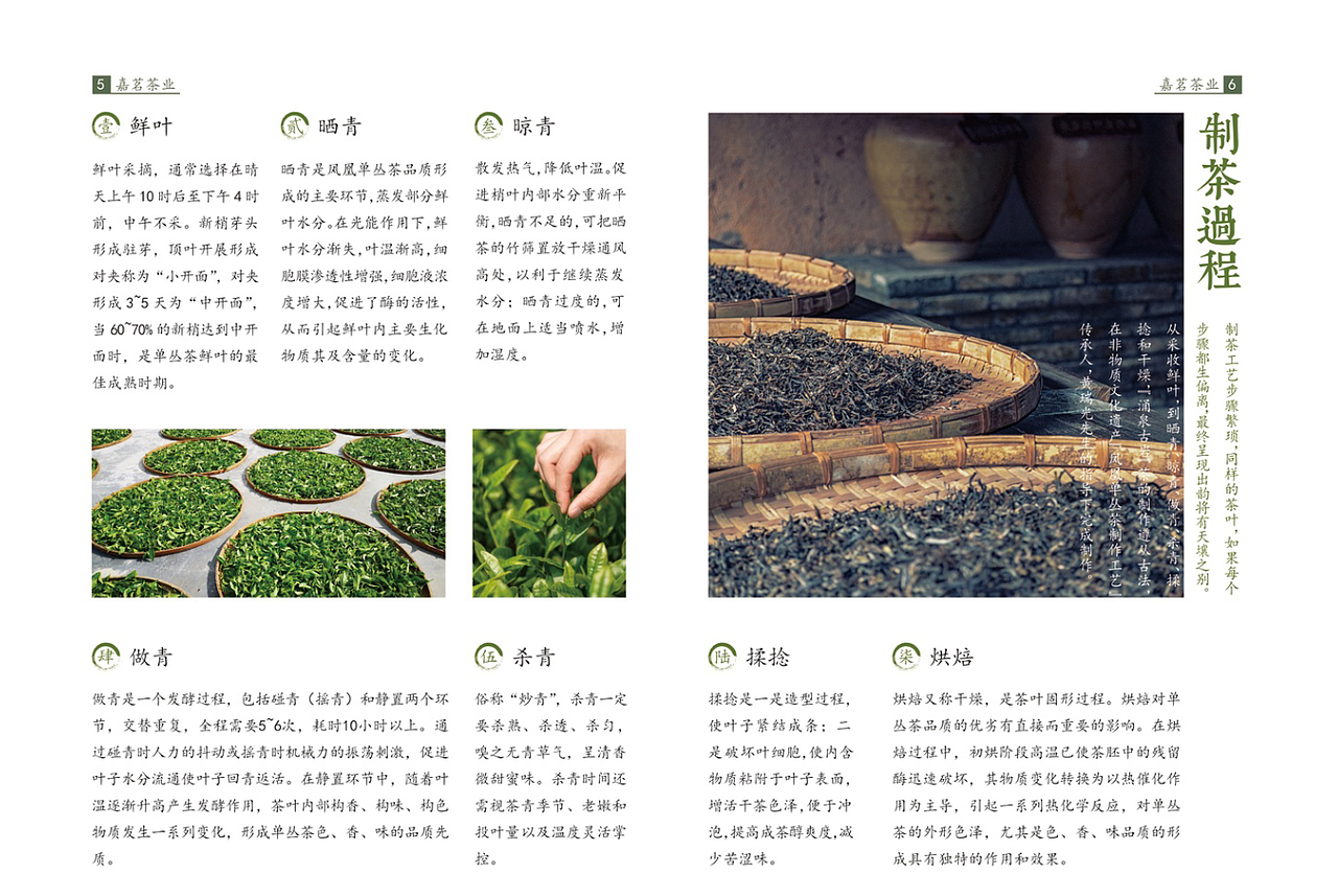 嘉茗茶業(yè)-品牌宣傳畫冊（圖ZMTgyNzk3MTcy） - 書籍/畫冊 - 站酷設(shè)計師有光餐飲品牌策劃原創(chuàng)素材 - 站酷ZCOOL